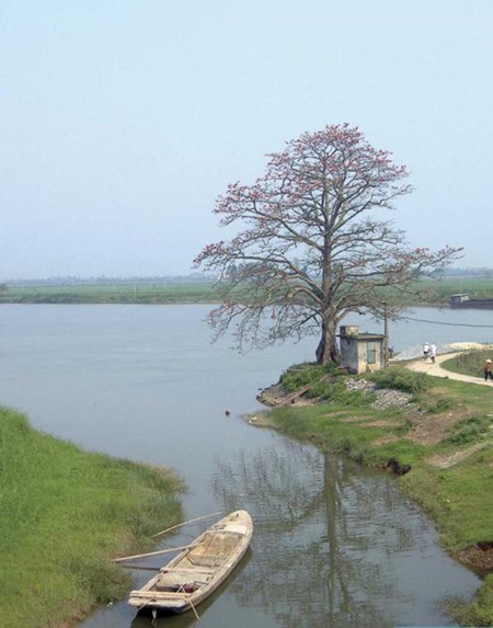 Hanh Thien village- a unique architectural complex in Nam Dinh - ảnh 3